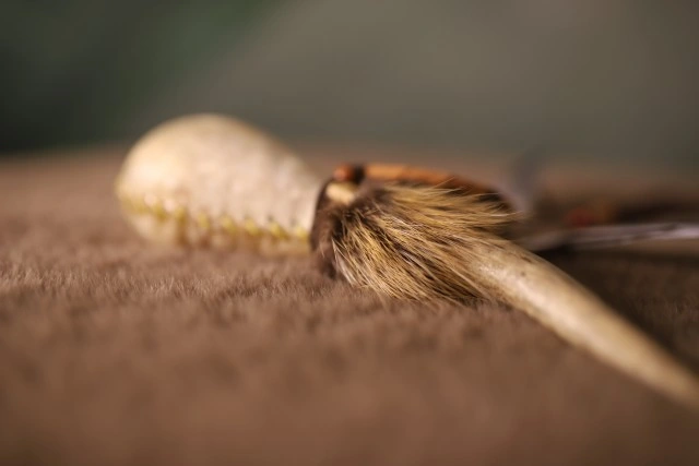 Polityka cookies - zdjęcie nagłówkowe